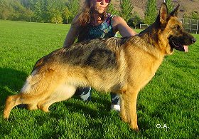 Gwendy von der Wolfsmatte