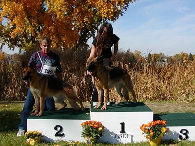 Gwendy went Regional Siegerien  2002 WDA Northwestern Regional