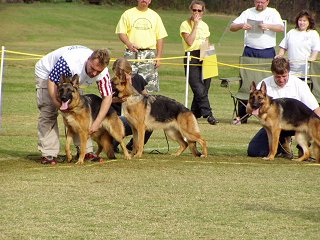 Isabella von Salerno