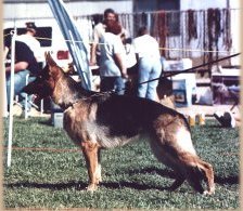 Meggy vom Lundborg-land